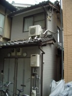 【外観】 | ツインズ