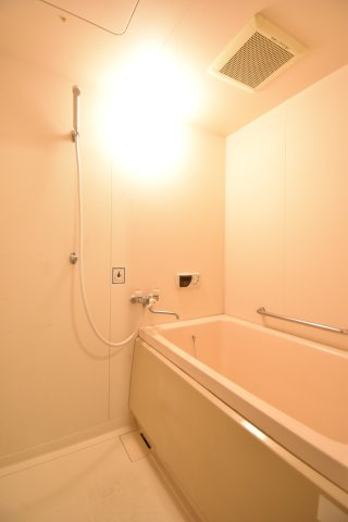 フレアコート野口の浴室