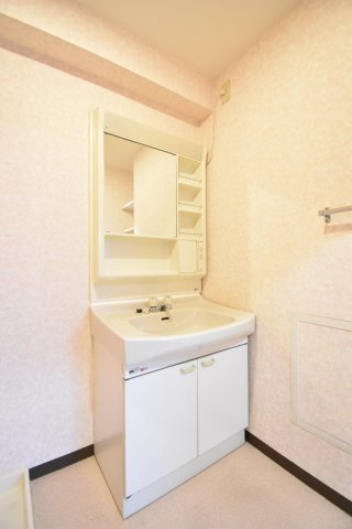 フレアコート野口の洗面所