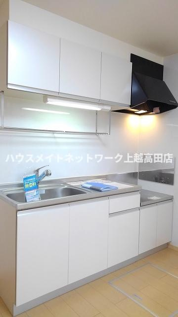 グランデ ソレイユⅡのキッチン|キッチン