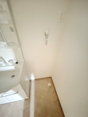 【浴室】レパード板戸