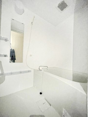 【浴室】レパード板戸