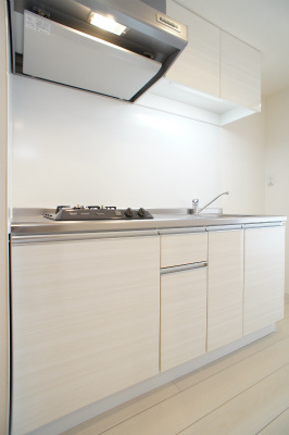 【その他】 | リブリ・プモリⅡ