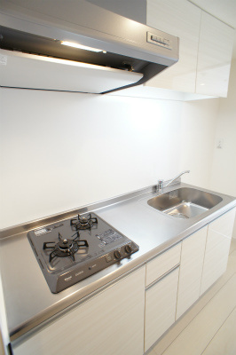 【その他】 | リブリ・プモリⅡ