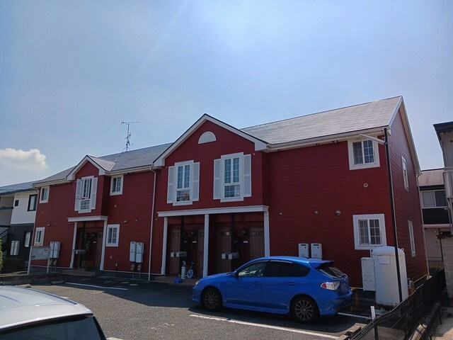 メープルピュア