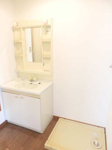 ニュ－シティ安本の洗面所