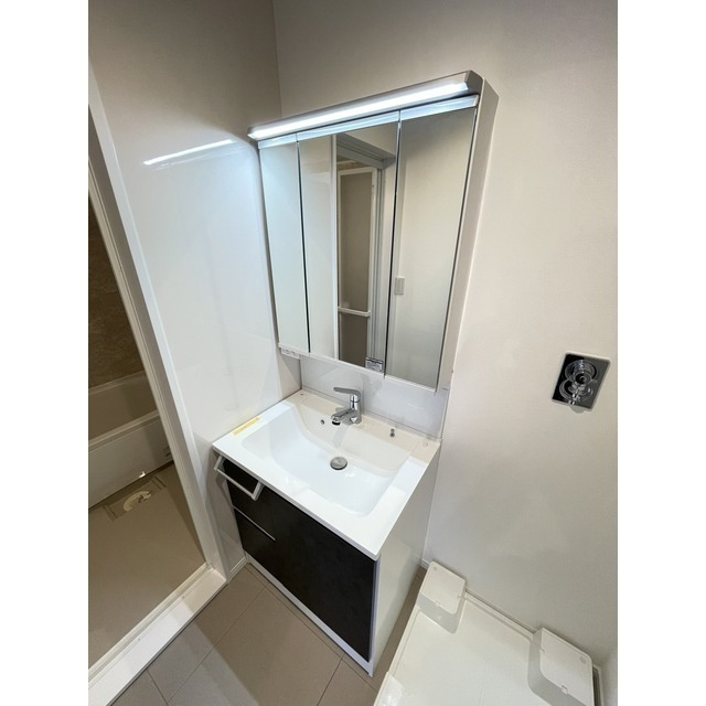 アゼリアの洗面所