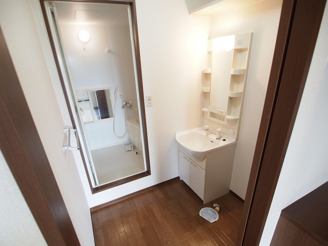 Happiness2番館の洗面所