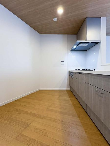 川崎市川崎区田島町の新築一戸建のキッチン