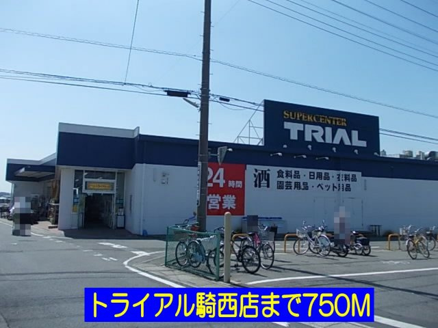 ジェルメ　アルモニーⅡの周辺|トライアル騎西店まで750m