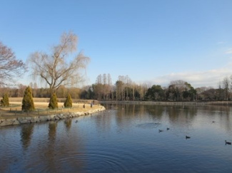 【周辺】 | パルシャス　二の宮 | 洞峰公園まで1200m