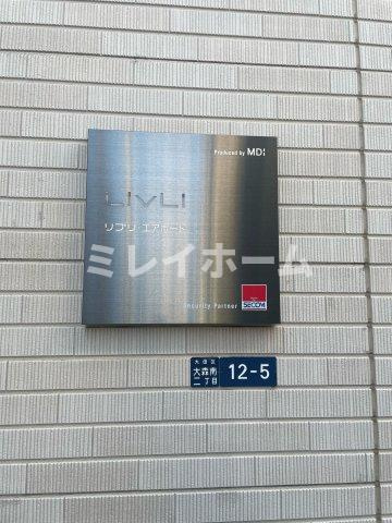 リブリ・エアポートのその他