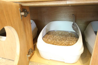贅沢な設備満載の猫部屋では猫ちゃんが自由に活動しています。
