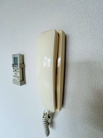 チェスナットのセキュリティ