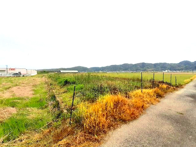 宇城市小川町北新田の売地の外観