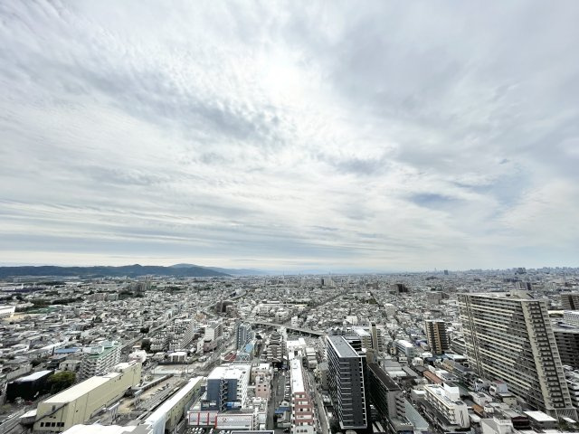 ロイヤルメドゥ香里園タワーの展望