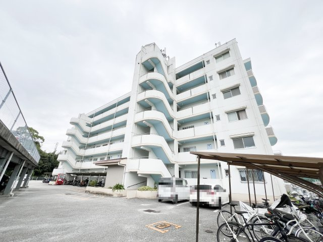 モイドープ和田