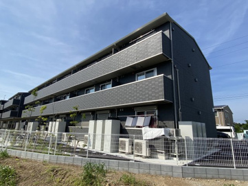 AALII（アアリイ）　Ⅰの画像