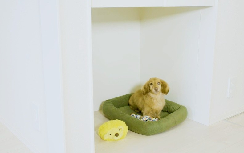 （仮称)）小山4丁目メゾンの設備