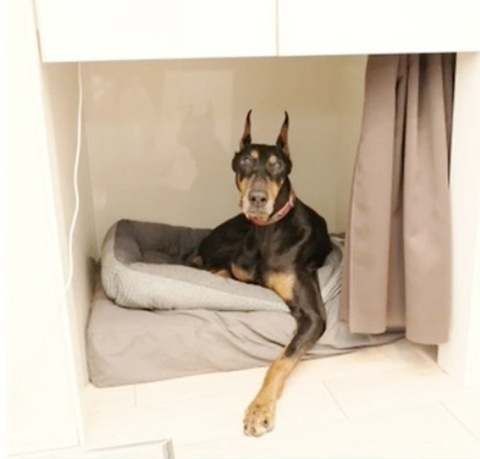 （仮称)）小山4丁目メゾンのその他