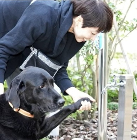 （仮称)）小山4丁目メゾンのその他