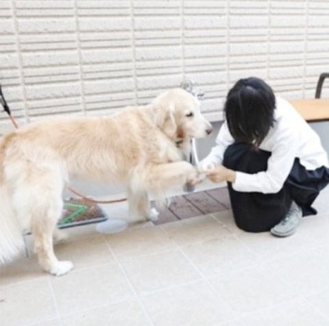 （仮称)）小山4丁目メゾンのその他