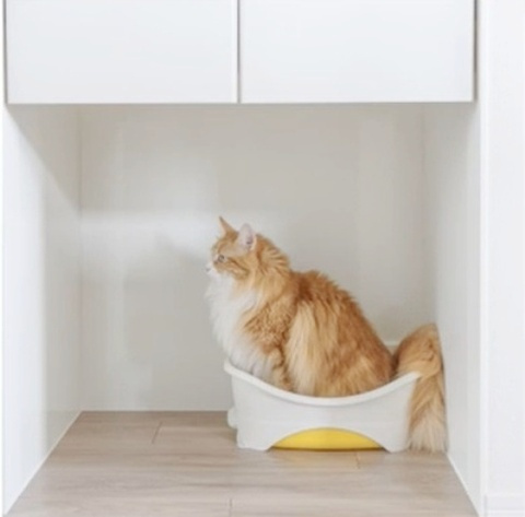 （仮称)）小山4丁目メゾンの収納