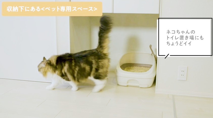 （仮称)）小山4丁目メゾンのその他