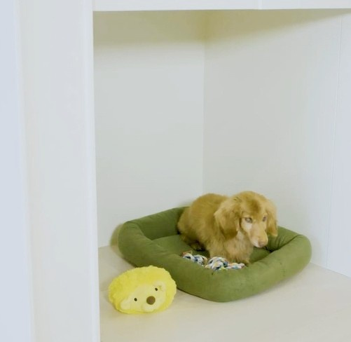 （仮称)）小山4丁目メゾンの設備