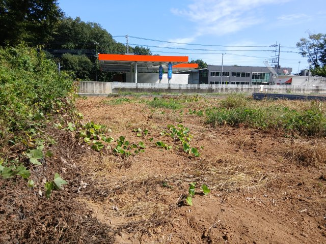 東松山市大字松山　土地111坪の外観