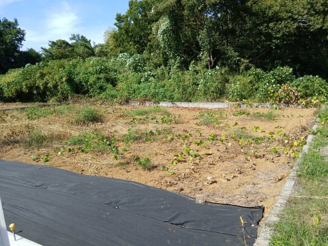 東松山市大字松山　土地111坪の外観