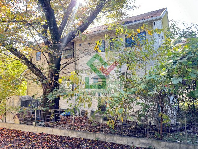 デュラカーサコブシ2の展望