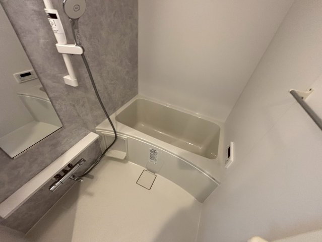 the platinum|名古屋市の賃貸ならMy賃貸の浴室|the platinum