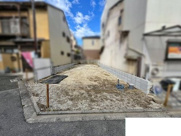 K41319-大将軍の画像