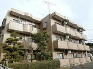 サンライズ国立の画像