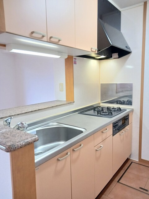 稲城市百村のアパートのキッチン