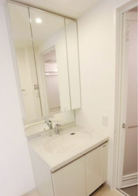 Ciment二子玉川　カウンターキッチン　オートロック　宅配BOXの洗面所