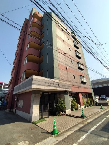 エクセルマロン紅梅の外観