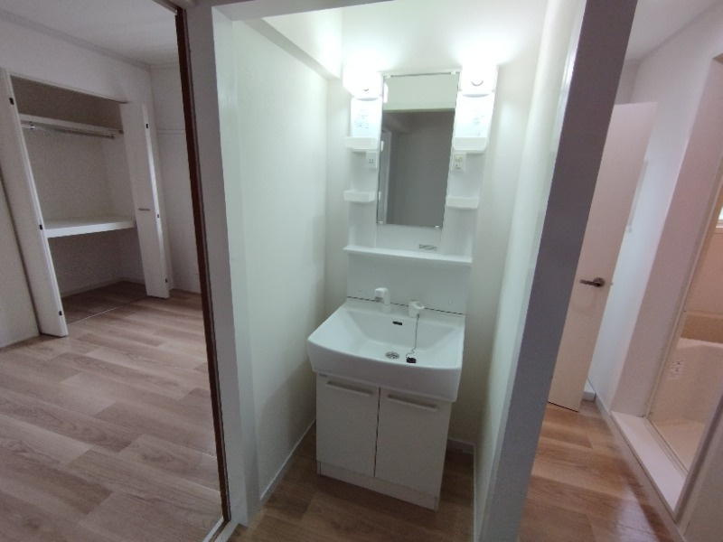 シャトー江口の洗面所