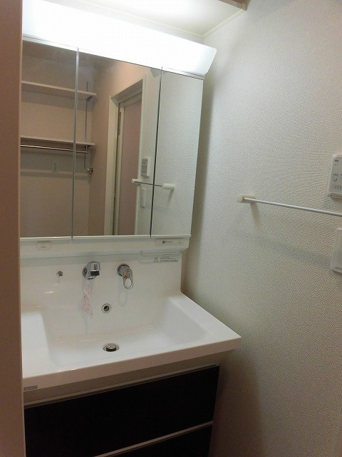 バースロケーションの洗面所