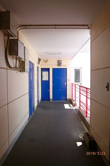 プレーンビル【10,000円キャッシュバック対象物件】のロビー|落ち着いたロビーです