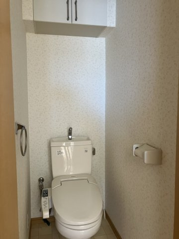 新潟市中央区笹口の賃貸マンションのトイレ