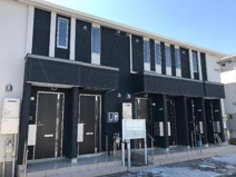 ブルースターの画像