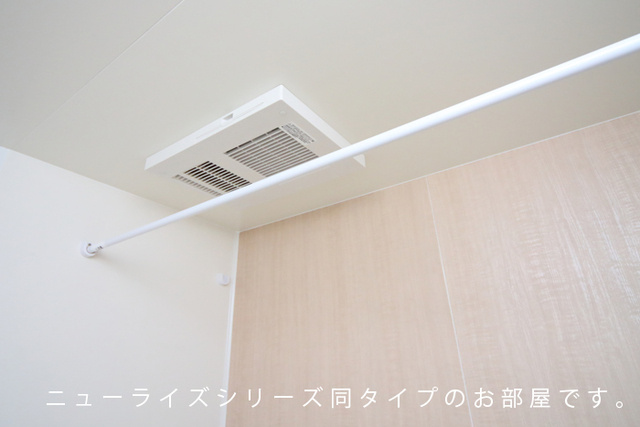 ピエール　レザンのその他