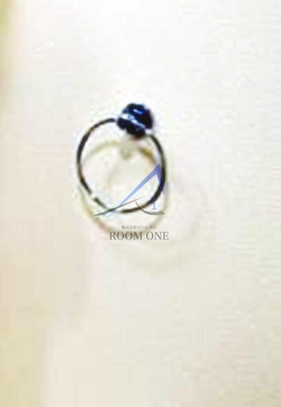 プレール・ドゥーク東京EAST Ⅳ RiverSide