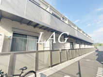 アムール錦の画像