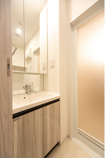 アヴニール三軒茶屋　ペット相談　スマートホーム　宅配BOXの洗面所