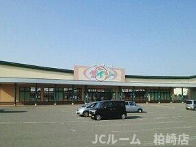 メゾン　アグレアブル　Ｃの周辺|ダイソーまで720m