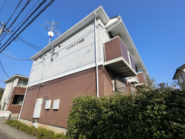 ベイサイド水草の画像