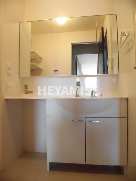 コンフォーティア三城の洗面所